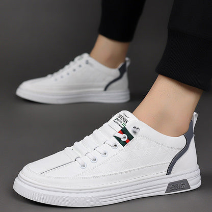 Velario Leather Sneakers